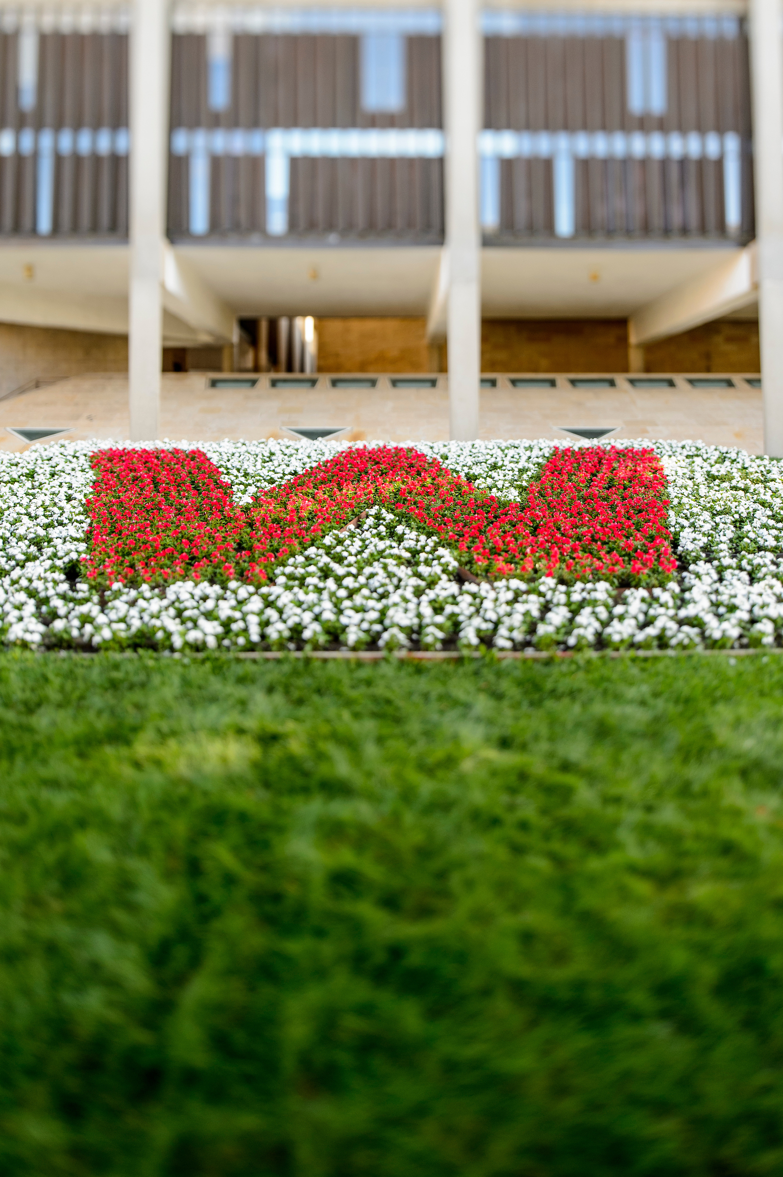 Photo of flowers in shape of W.