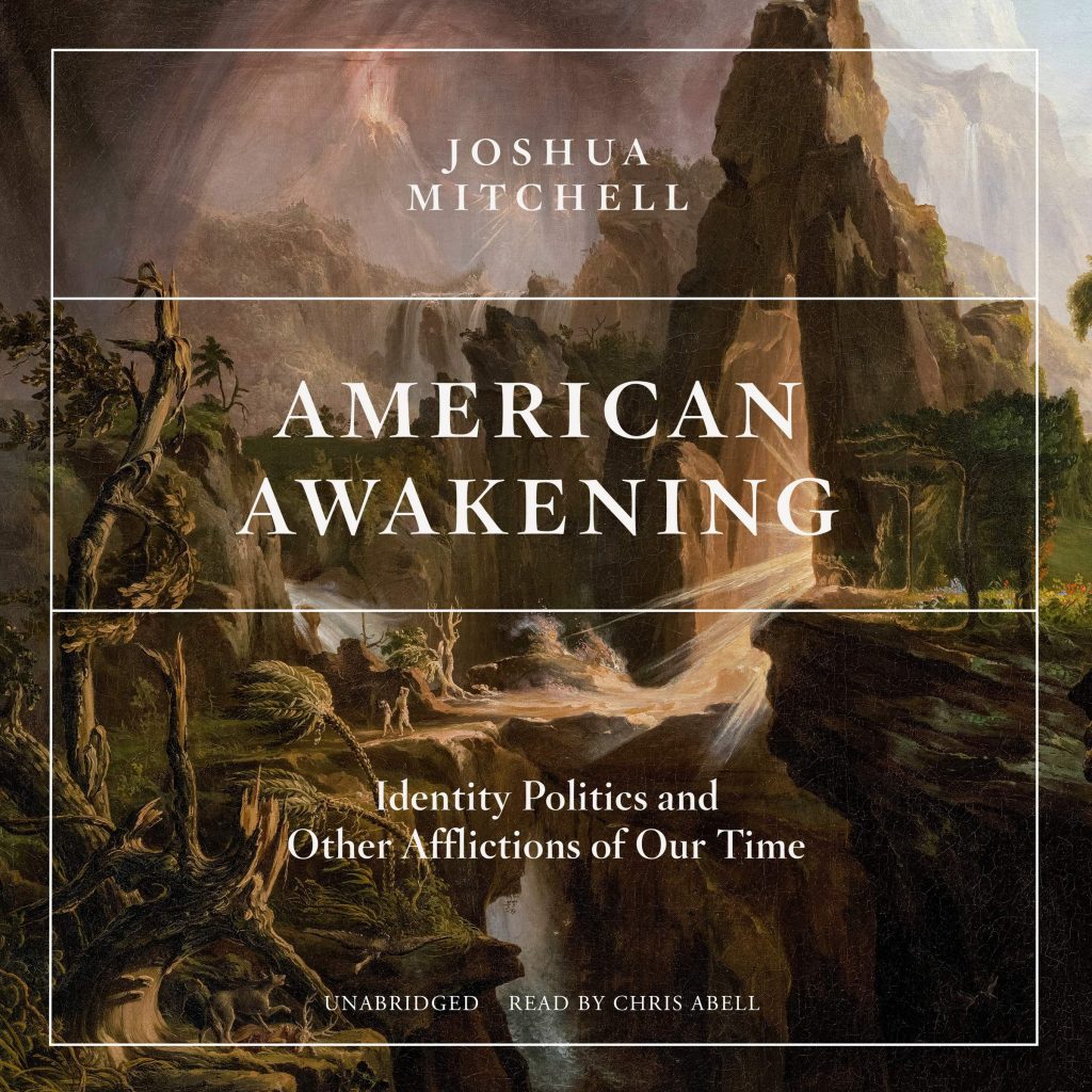 Joshua Mitchell American Awakening Cover
