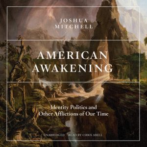 Joshua Mitchell American Awakening Cover